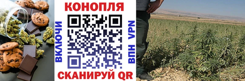 Cannafood конопля  Купить  Чайковский 