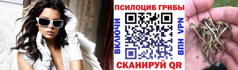 Псилоцибиновые грибы Psilocybine cubensis Чайковский